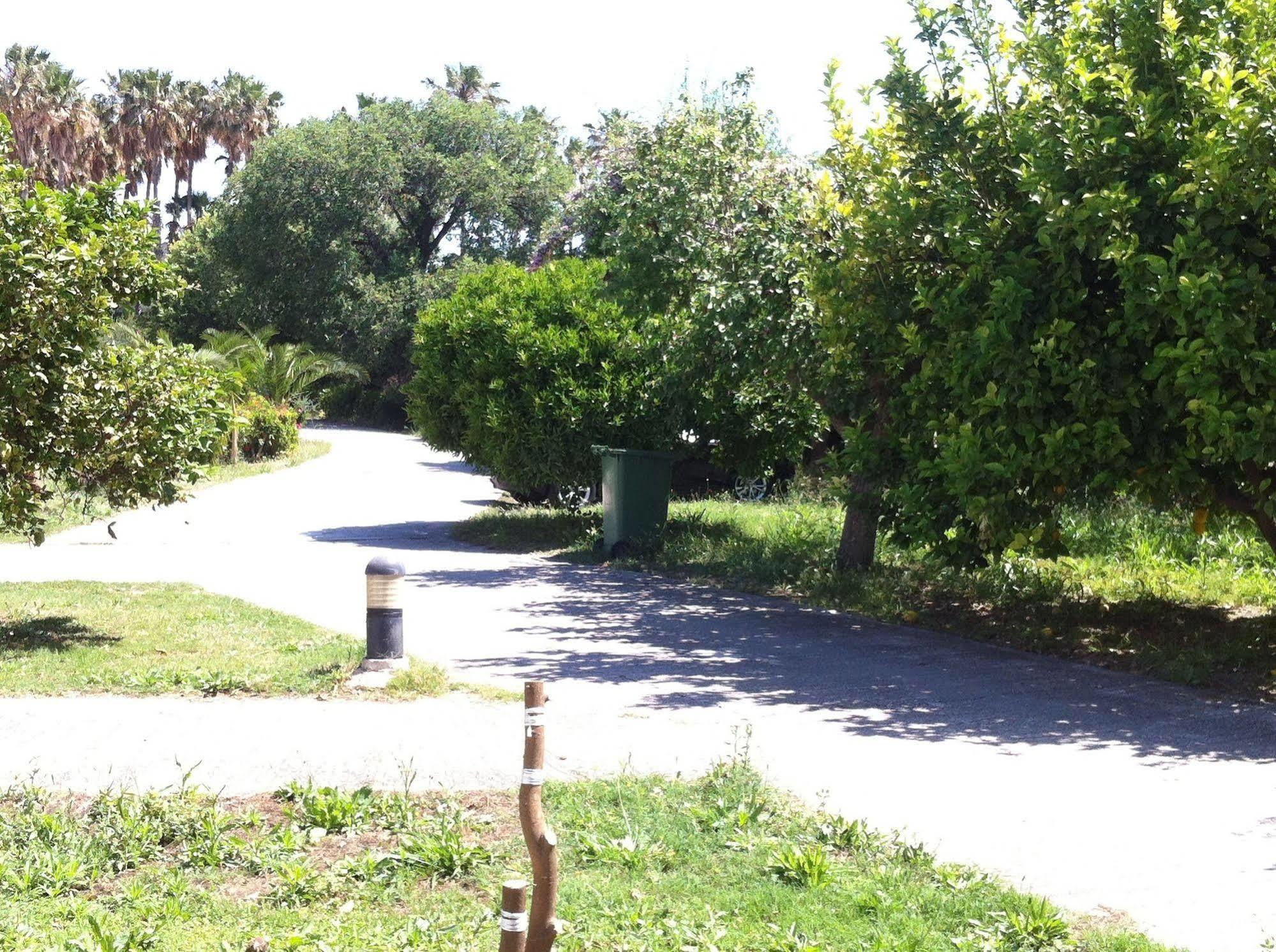 Olgas Paradise Apartments Psalidi  Dış mekan fotoğraf